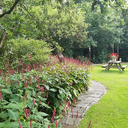 Rest En Romte Bed & Breakfast Birdaard Dış mekan fotoğraf